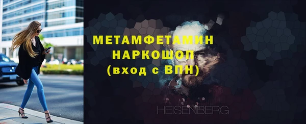 прущие грибы Беломорск