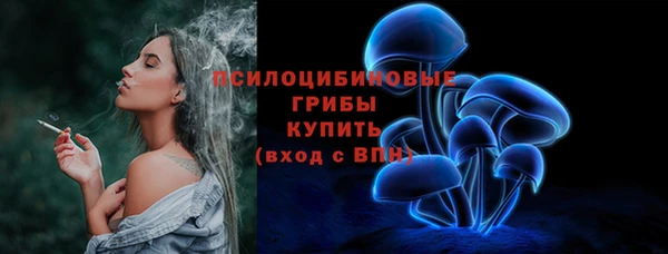 прущие грибы Беломорск