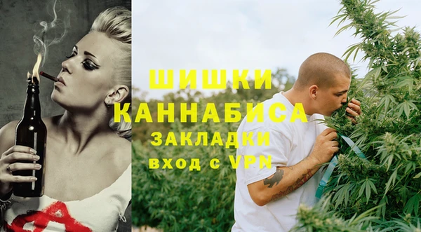 прущие грибы Беломорск