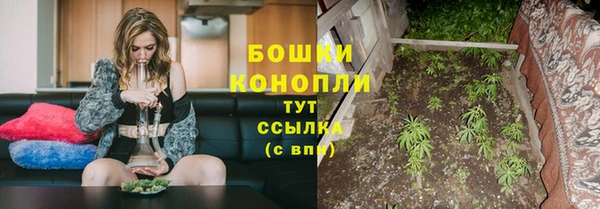 прущие грибы Беломорск