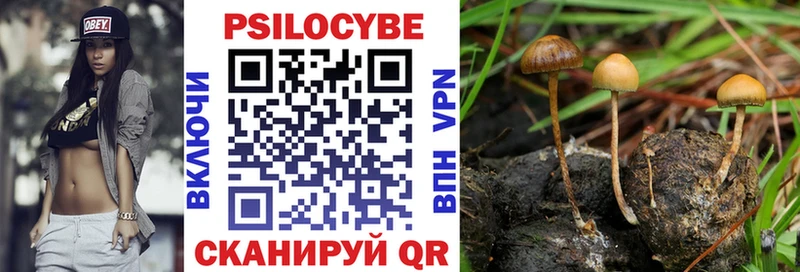 Галлюциногенные грибы Magic Shrooms  МЕГА ссылка  Славгород 